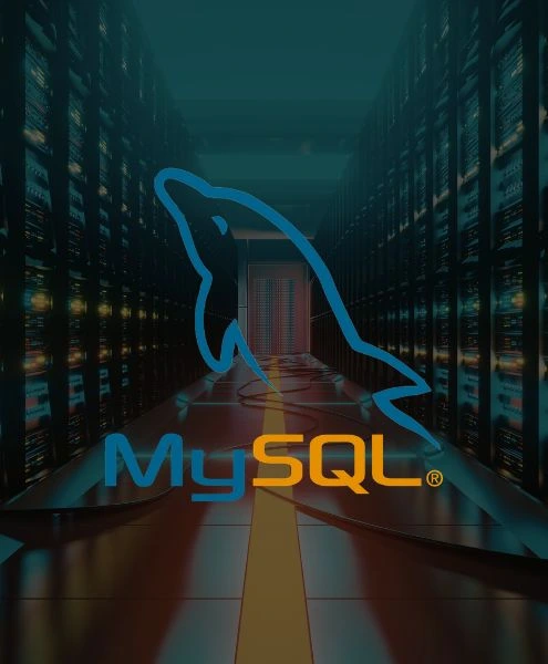 MySql MySql